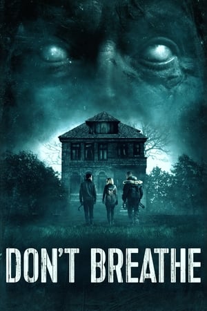 Don't Breathe (2016) Hindi Dual Audio | Hindi Dubbed Movie BluRay 300MB