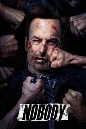 Nobody (2021) Hindi Dual Audio BluRay | Hindi Dubbed Movie – 480p